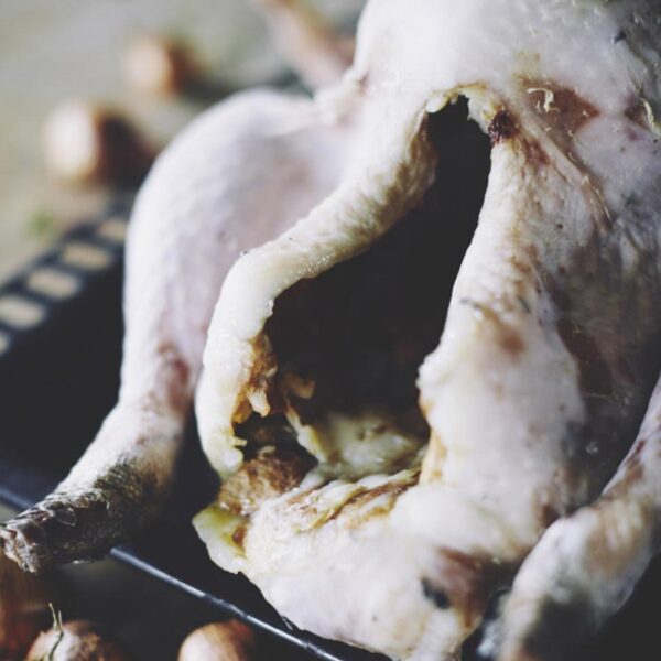 Tomboy Turkey - Close Up